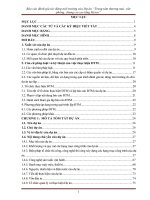 Dtm hesco in trinh (chốt)