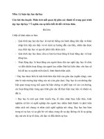 Tiểu luận lý luận dạy học phân tích mối quan hệ giữa các thành tố trong quá trình dạy học đại học