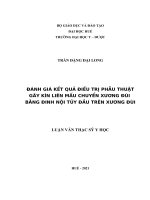 Đánh Giá Kết Quả Điều Trị Phẫu Thuật Gãy Kín Liên Mấu Chuyển Xương Đùi Bằng Đinh Nội Tủy Đầu Trên Xương Đùi  (Full Text).Docx