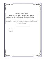 Bài Tiểu Luận tiêu chuẩn chức danh nghề nghiệp Dược sĩ 