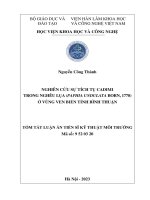Tóm tắt: Nghiên cứu sự tích tụ Cadimi trong nghêu lụa (Paphia undulata Born, 1778) ở vùng ven biển tỉnh Bình Thuận