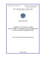 Nghiên cứu sự tích tụ Cadimi trong nghêu lụa (Paphia undulata Born, 1778) ở vùng ven biển tỉnh Bình Thuận