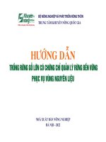 Hướng dẫn trồng rừng gỗ lớn có chứng chỉ quản lý rừng bền vững phục vụ vùng nguyên liệu