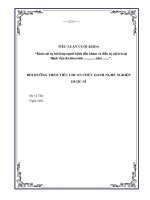 Bài Tiểu Luận tiêu chuẩn chức danh nghề nghiệp Dược sĩ 