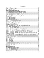 Nghiên cứu bênh hại chủ yếu trên cây Điều tại một số vùng trọng điểm của tỉnh Đắk Lắk