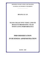 Team collective voice and its roles in promoting team innovative performance