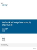 Report intelligent document processing everest group 2022 en