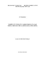 Nghiên cứu tích lũy CADIMI trong lúa gạo trồng trên đất phù sa đồng bằng sông Hồng