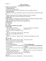 Tv tăng cường cd  tuần 11