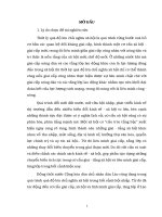 Tiểu luận - Cơ cấu xã hội, giai cấp và liên minh giai cấp, tầng lớp trong thời kỳ quá độ lên chủ nghĩa xã hội ở Việt Nam hiện nay