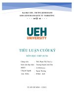 Tiểu luận cuối kỳ UEH môn ERP BÀI TOÁN TỒN KHO VÀ BÀI TOÁN VẬN TẢI