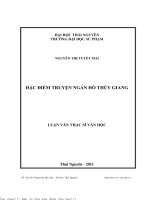 Đặc điểm truyện ngắn hồ thủy giang