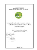 ỨNG DỤNG CÔNG NGHÊ SINH HỌC TRONG LÂM NGHIỆP