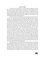 Nghiên cứu tính đa dạng khu hệ Rùa (Testudines) Việt Nam