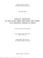 Nội suy newton và bài toán biên hỗn hợp thứ nhất của phương trình vi phân