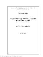 Nghiên cứu dự phòng sâu răng bằng gel fluor