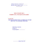 MỘT SỐ GIẢI PHÁP NÂNG CAO HIỆU QUẢ TỰ HỌC MÔN NGỮ VĂN CHO HỌC SINH THCS