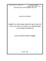 Nghiên cứu một số biện pháp kỹ thuật chủ yếu nâng cao năng suất vải chín sớm PH40 ở vùng miền núi phía Bắc