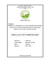 Khoá luận tốt nghiệp đại học nghiên cứu ảnh hưởng của gốc ghép đến sinh trưởng, năng suất và chất lượng giống dưa lê hàn quốc trong vụ xuân 2019 tại thái nguyên
