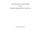 Báo cáo kế toán bằng tiền và tiền vay