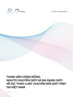 THAM VẤN CỘNG ĐỒNG NGƯỜI CHUYỂN GIỚI VÀ ĐA DẠNG GIỚI VỀ DỰ THẢO LUẬT CHUYỂN ĐỔI GIỚI TÍNH TẠI VIỆT NAM