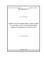 Nghiên cứu mức độ biểu hiện và tính đa hình của gen PKLR, UGT1A1 ở người phơi nhiễm dioxin có nguồn gốc từ chất da cam