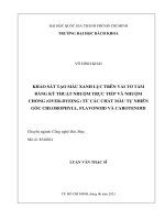 Khảo sát tạo màu xanh lục trên vải tơ tằm bằng kỹ thuật nhuộm trực tiếp và nhuộm chồng (over dyeing) từ các chất màu tự nhiên gốc chlorophyll, flavonoid và carotenoid