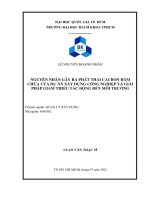 Nguyên nhân gây ra phát thải cacbon hàm chứa của dự án xây dựng công nghiệp và giải pháp giảm thiểu tác động đến môi trường
