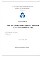 Tổng hợp vật liệu carbon aerogel từ sợi lá dứa và ứng dụng làm chất hấp phụ