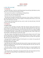 Khbd wrod 11 tv bài 11 muoi  khtn8 kntt bộ 2 vt