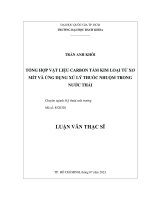 Tổng hợp vật liệu carbon tấm kim loại từ xơ mít và ứng dụng xử lý thuốc nhuộm trong nước thải