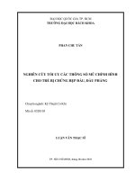 Nghiên cứu tối ưu các thông số mũ chỉnh hình cho trẻ bị chứng bẹp đầu, đầu phẳng