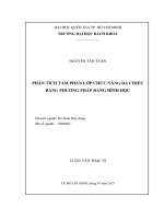 Phân tích tấm phân lớp chức năng đa chiều bằng phương pháp đẳng hình học