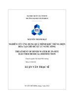 Nghiên cứu ứng dụng quá trình khử trùng điện hóa tại chỗ để xử lý nước sông