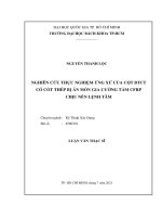 Nghiên cứu thực nghiệm ứng xử của cột btct có cốt thép bị ăn mòn gia cường tấm cfrp chịu nén lệnh tâm