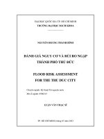Đánh giá nguy cơ và rủi ro ngập thành phố thủ đức