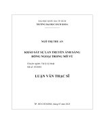 Khảo sát sự lan truyền ánh sáng hồng ngoại trong mô vú