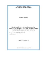 Sử dụng đất sét nung có hoạt tính pozzolanic để thay thế một phần clinker trong xi măng, giảm phát thải co2