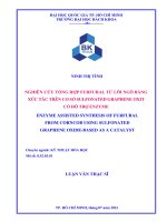 Nghiên cứu tổng hợp furtural từ lõi ngô bằng xúc tác trên cơ sở sulfonated graphene oxit có hỗ trợ enzyme