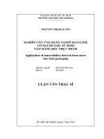Nghiên cứu ứng dụng nanocellulose có nguồn gốc từ rơm vào màng bọc thực phẩm