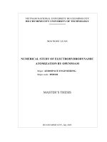 Numerical study of electrohydrodynamic atomization by openfoam