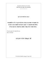 Nghiên cứu tạo màng cellulose vi khuẩn tầm cao chiết dược liệu và định hướng ứng dụng trong điều trị vết thương