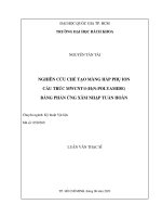 Nghiên cứu chế tạo màng hấp phụ ion cấu trúc mwcnt(h2n polyamide) bằng phản ứng xâm nhập tuần hoàn