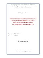 Tổng hợp và đánh giá hoạt tính xúc tác của vật liệu composite cofe2o4
