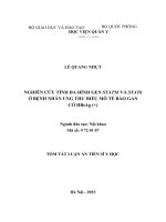 Tóm tắt: Nghiên cứu tính đa hình gen STAT5b và STAT6 ở bệnh nhân ung thư biểu mô tế bào gan có HBsAg (+)