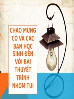Nhóm 4 quy luật lượng chất 65kt6