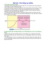Lý thuyết khoa học tự nhiên 8 kết nối tri thức bài 46  cân bằng tự nhiên