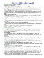 Lý thuyết khoa học tự nhiên 8 kết nối tri thức bài 34  hệ hô hấp ở người