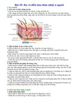 Lý thuyết khoa học tự nhiên 8 kết nối tri thức bài 39  da và điều hòa thân nhiệt ở người