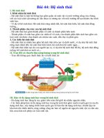 Lý thuyết khoa học tự nhiên 8 kết nối tri thức bài 44  hệ sinh thái